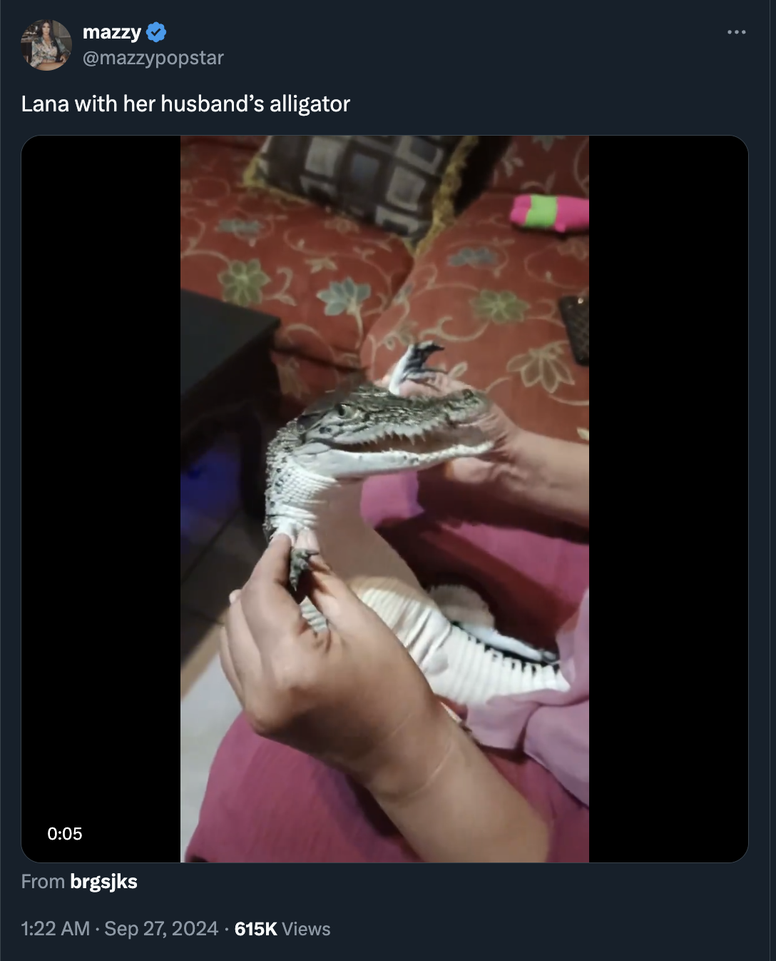 screenshot - mazzy Lana with her husband's alligator From brgsjks Views